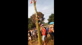 Vietnamese locals partake in hilarious banana tree climbing competition