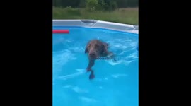We all have that one unathletic friend