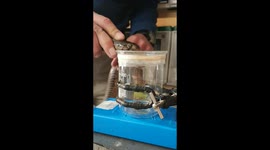 Snake wrangler shows off enormous amount of venom taken from spitting cobra