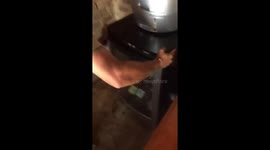 Removing a Black Mamba from a bar!
