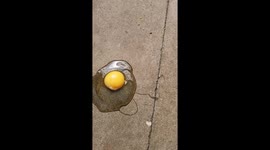 Raw egg cracked and cooked perfectly on scorching pavement in England