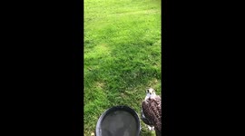 Can’t beat a nice cool shower in a #heatwaveuk https://t.co/pyN6ksqiLD