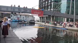 Real Life Ducks Disrupt Rubber Duck Race