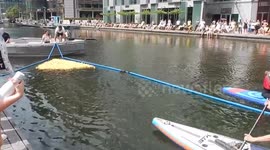 Ducklings Escape Rubber Duck Race