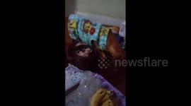 Cachorra Andrelissa comendo a ração do juninho