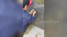 Elderly Chinese man shows off incredible sand calligraphy skills