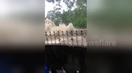 Raging flash flood gushes past house in the Philippines
