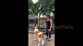 Dog hates Elvis