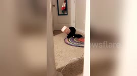 Newsflare Edit - I’m not Drunk you’re Drunk