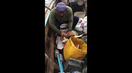 Fisherman rescues sea turtle tangled in mass of rubbish floating off Thailand