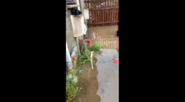 Flood around home