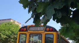 Back to school annual sale in Manhattan. Astonishing deals!