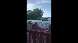 My dog is playing volleyball in the pool on rafts!