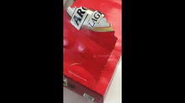 Cat hides in a beer box