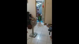 adorable girl first time in dinosaur costume