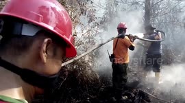 Indonesia battles forest fires to prevent return of SE Asia 'haze' crisis