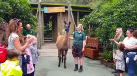Animal Adventure opens at London Zoo.