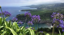Unreal beauty of Azores Island.
