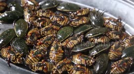 Chinese restaurant serves steamed cockroaches as snacks for customers