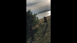 Man playing guitar next to the beach