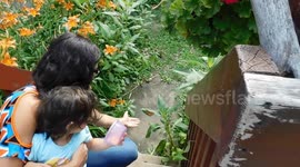 Taming Monarch Butterflies Proof