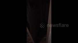 Toilet Door sounds like Jaws Music