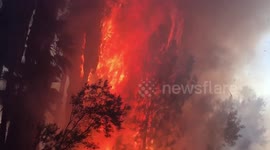 Brush fire engulfs park in north-western Los Angeles