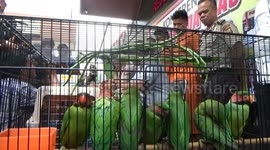 the police failed to smuggle dozens of animals