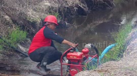 Forest and land fires in Riau continued to expand, the fire fighting team put out fires