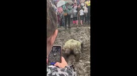 Girl swims in mud at Liverpool rock festival