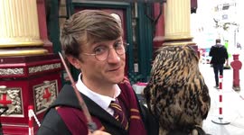 Harry Potter’s Birthday.