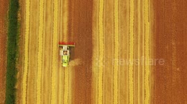 Drone Footage Of Barely Cut & Combine Harvester