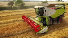 Summer Scenes - Combine Harvest Barely Cut By Drone