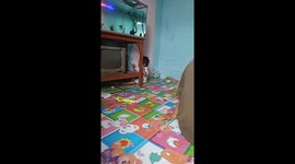 girls damage the aquarium