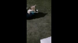 Lunahtics dance moves