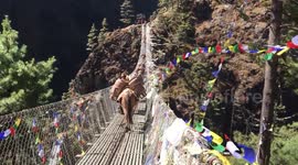 One of the spectacular bridges, Hillary Bridge, going to Namche Bazaar.