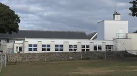Colony of noisy 'gangland gulls' are causing chaos after they congregated in their hundreds at a school