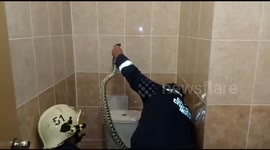 Mother-of-three finds python inside apartment toilet in Russia
