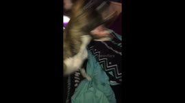Puppy speaks and sings! Great with commands!