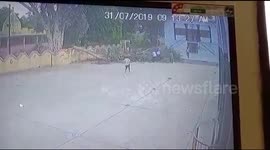 Tree crashes down onto two women sitting outside temple in northern India