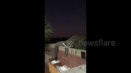 Thirsty elephant caught opening tap to drink water from sink in Botswana camp