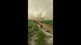 dry season, land fires occur in pelalawan district, riau province.