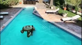 Learning how to ride a giant inflatable swan!