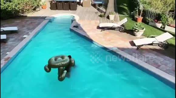 Learning how to ride a giant inflatable swan!