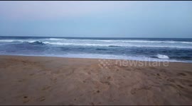 Beach of Mozambique