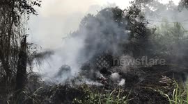 Indonesia Battles Forest Fire
