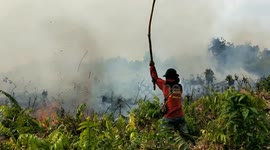 Chaotic wildfires rage across dry Indonesian jungle