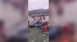 Rescuers and tourists team up to save stranded dolphin on beach in China's Yangjiang