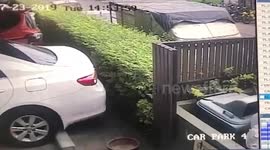Evil mother murdered newborn baby by poisoning her with drain cleaner then throwing her off balcony