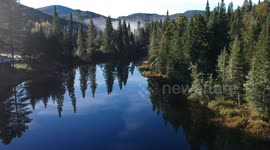 Trees reflected on lake